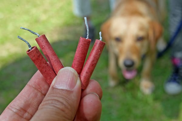 Veel vuurwerk nooit getest op dieren