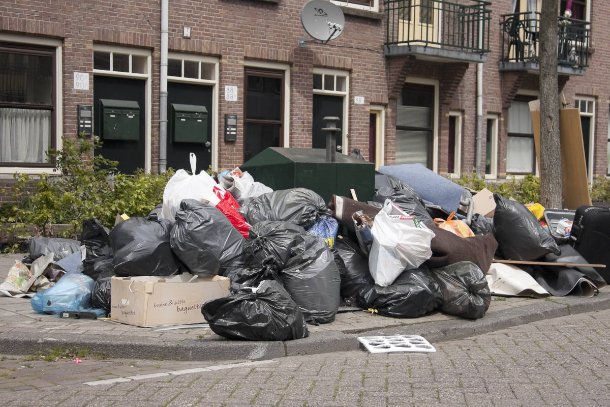 Meer afval op straat nodig om rattenpopulatie te voeden