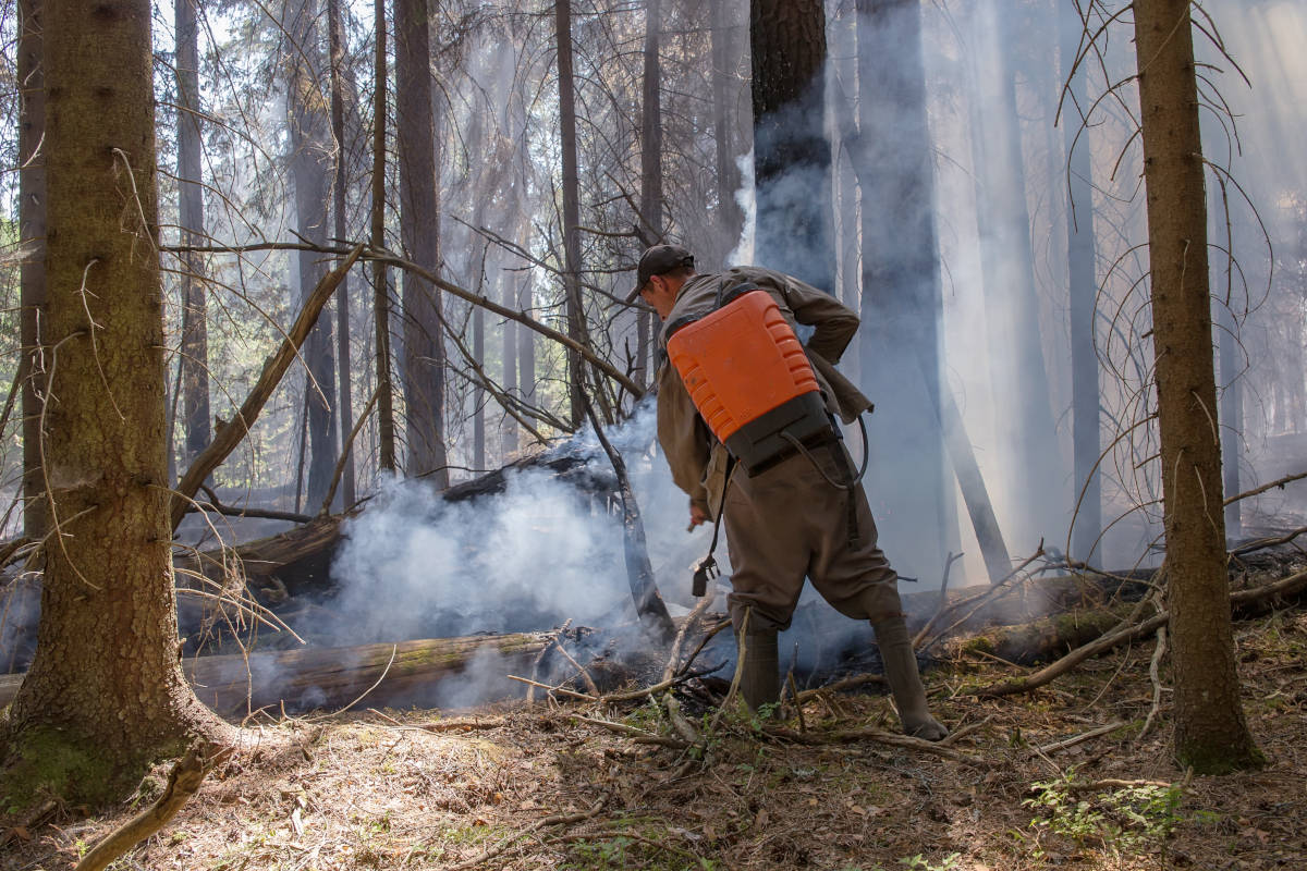 Raad van State legt natuurbrand in Limburg stil wegens ontbrekende houtstookvergunning