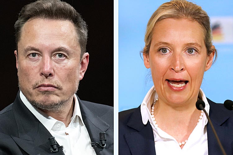 Elon Musk laat zich zien met AfD-leider om geruchten over zijn extreemrechtse sympathieën te ontkrachten