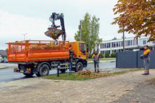 Geduld is op: Gemeente gaat bladeren handmatig van de bomen plukken Geduld is op: Gemeente gaat bladeren handmatig van de bomen plukken
