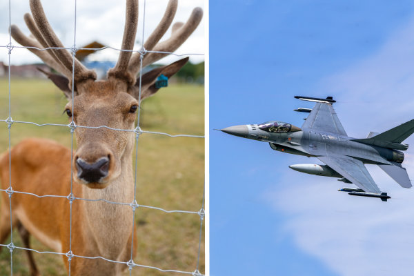 Nederland stuurt nog geen F-16’s naar Oekraïne: “Eerst hertenkampjes aanpakken”