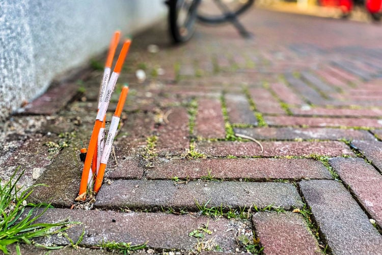 KPN onderzoekt nut van oranje stoepsprietjes: “We weten het gewoon nog niet”