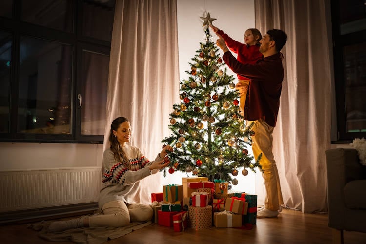 Kerstboomgijzeling: Hoe we elk jaar miljoenen bomen hun vrijheid ontnemen