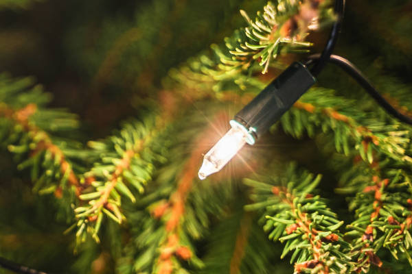 Vanwege hoge gasprijs kiezen meer Nederlanders voor elektrisch verlichte kerstboom