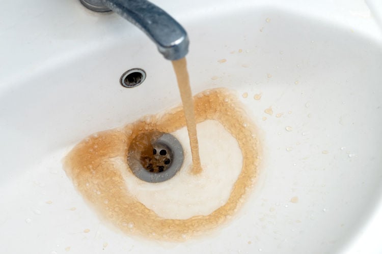 Enterokokken-bacterie in Utrechts kraanwater met uitsterven bedreigd