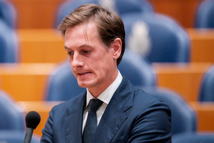 Volt pleit voor invoering basiszetels voor kleine progressieve partijen