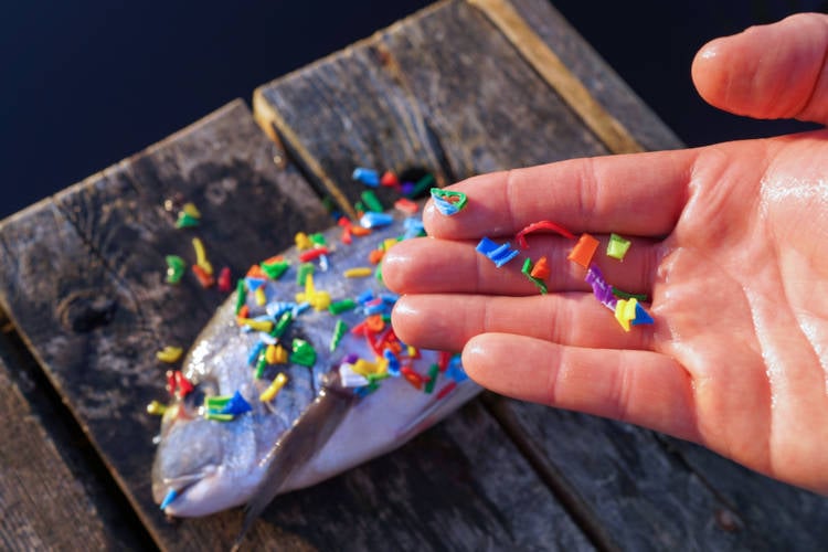 Microplastics nu officieel onderdeel van de voedselpiramide, net onder vis