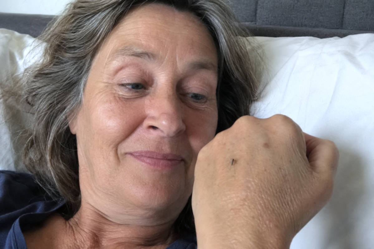 Dierenliefhebbers blij met start muggenseizoen: “Eindelijk weer een beetje gezelschap in bed”