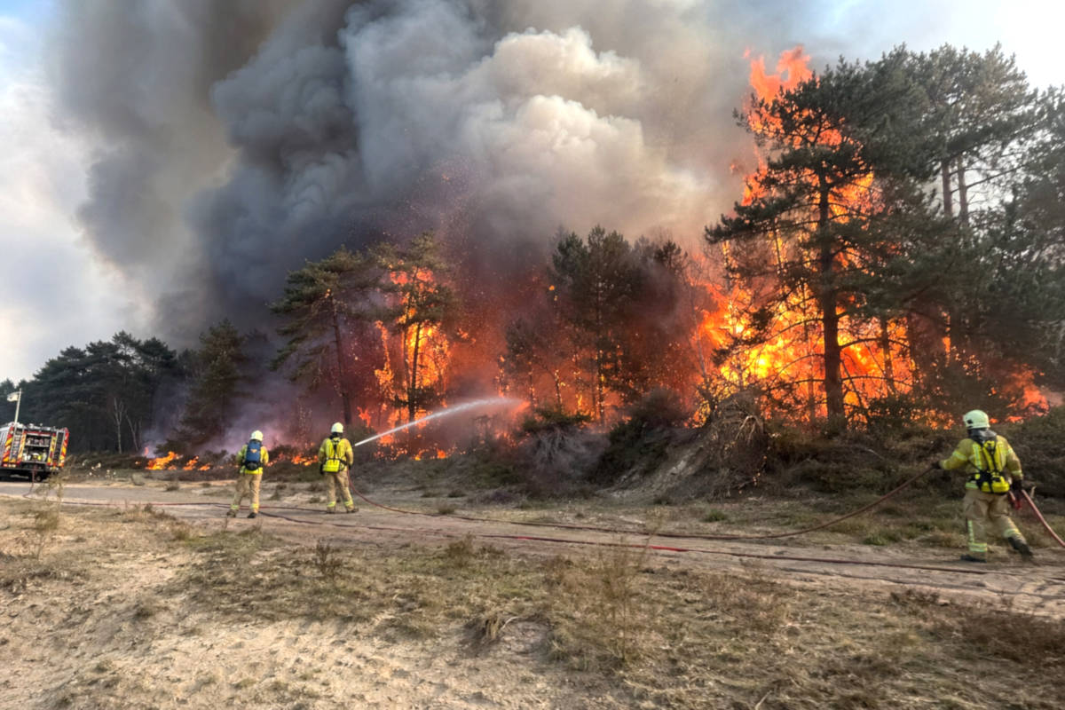 Kabinet overweegt totaalverbod op natuur: “Asfalt is gewoon veel brandveiliger”