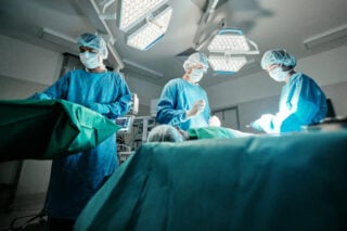 Ziekenhuis werkt aan plantaardige donornier voor vegetarische nierpatiënten Ziekenhuis werkt aan plantaardige donornier voor vegetarische nierpatiënten