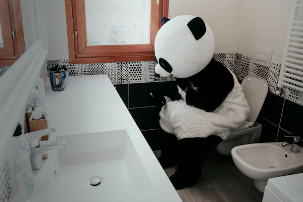 Kan deze man een panda zwanger maken?