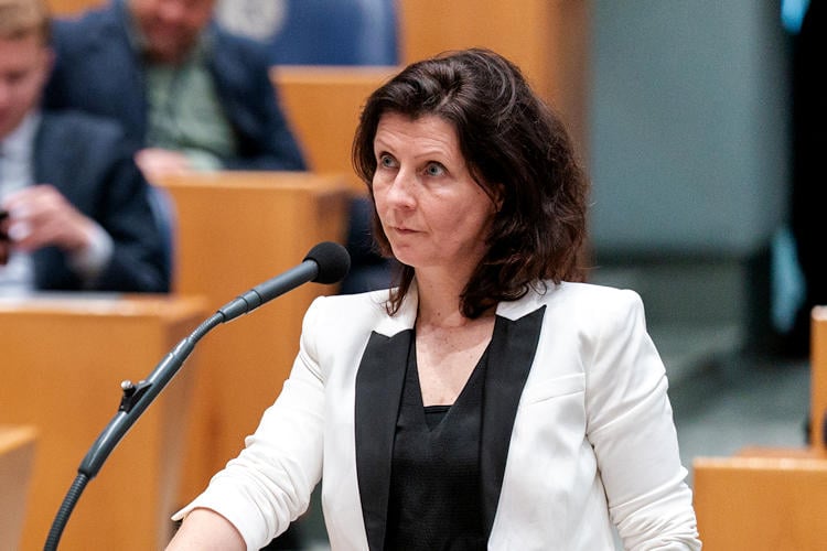 Partij voor de Dieren stelt drie volken dikpootbijen beschikbaar voor luchtverdediging Iran