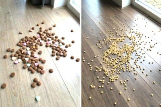 Gezondheidsraad adviseert: “Laat Piet peulvruchten strooien in plaats van pepernoten”