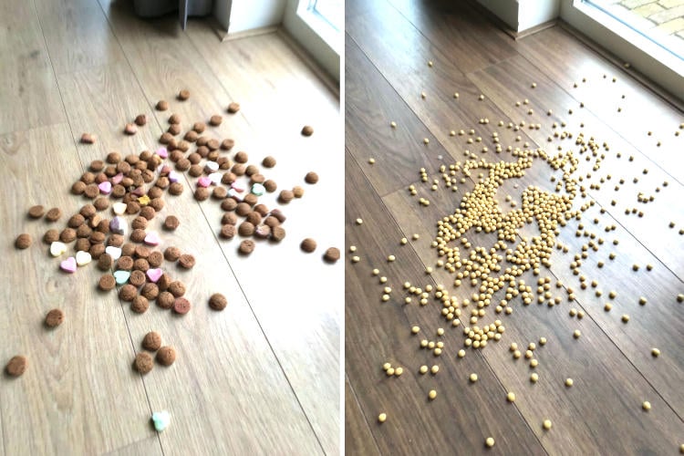 Gezondheidsraad adviseert: “Laat Piet peulvruchten strooien in plaats van pepernoten”