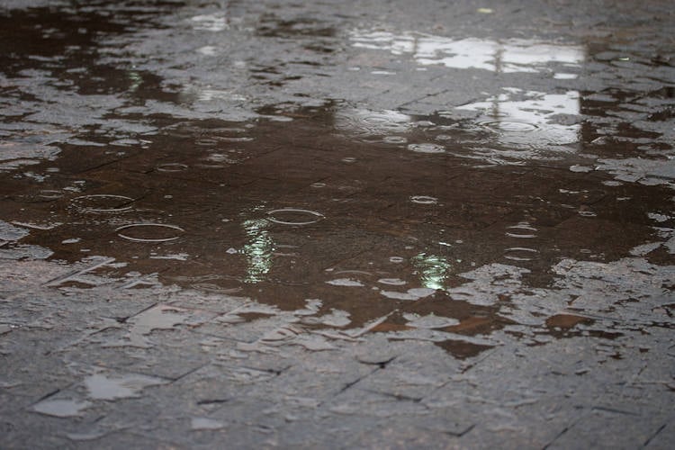 Weerbureau waarschuwt: “Herfstachtig weer kan leiden tot droogtetekort”