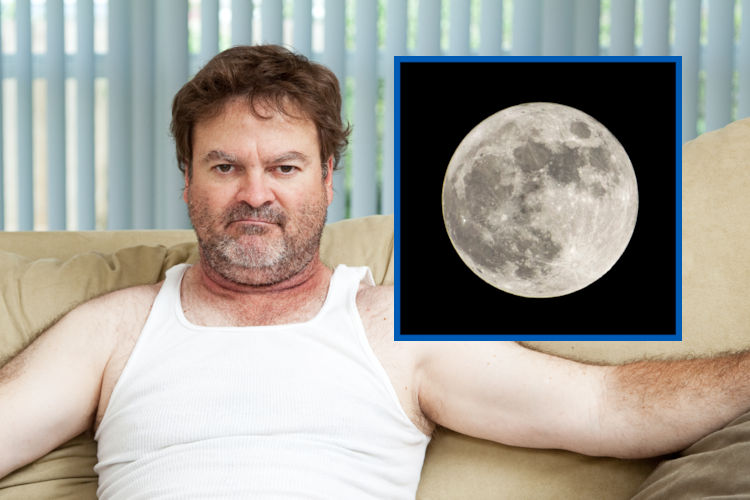 Steeds meer FvD’ers twijfelen aan bestaan van de maan: “Extreem onwaarschijnlijk verhaal”