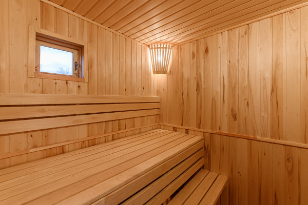 Sauna vanwege hoge energieprijs verder als houten hok