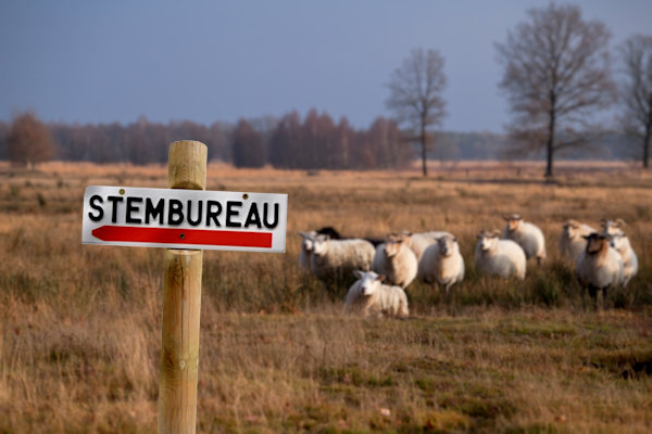 Ook inwoners van Drenthe mogen stemmen… terecht of niet?