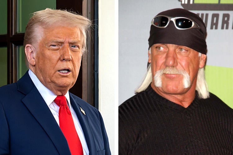Trump mogelijk op Hulk-Hogan-lijst