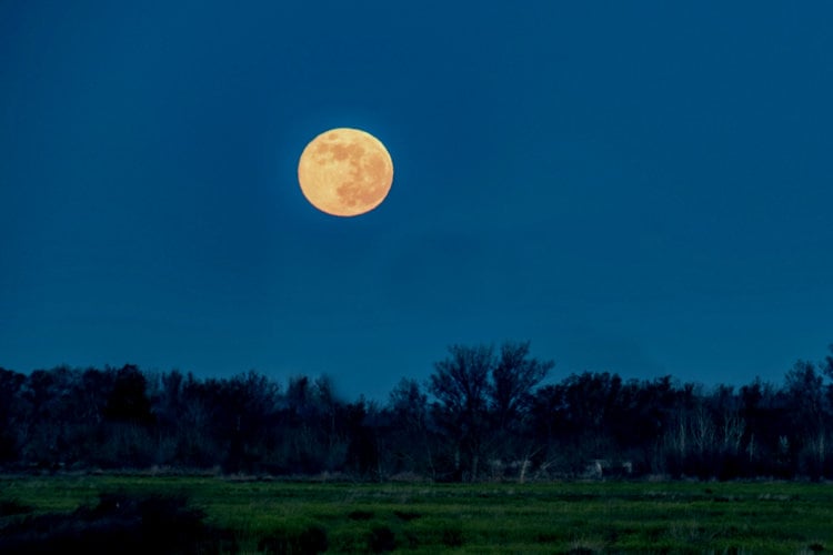 Volle supermaan drijft astrologen tot wanhoop: “Al mijn voorspellingen kunnen zo de prullenbak in”