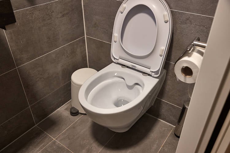 Steeds meer Nederlanders hebben een genderneutraal toilet in huis