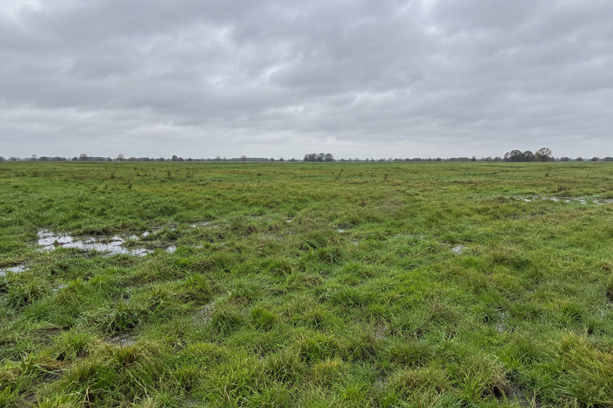 Kabinet voorkomt toekomstig achterstallig onderhoud door nu alvast niets te bouwen