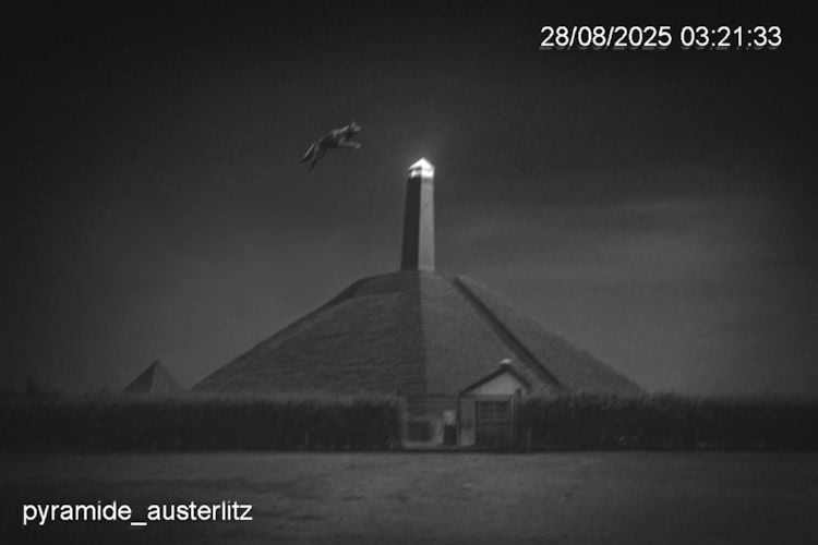 Wolf springt over Pyramide van Austerlitz