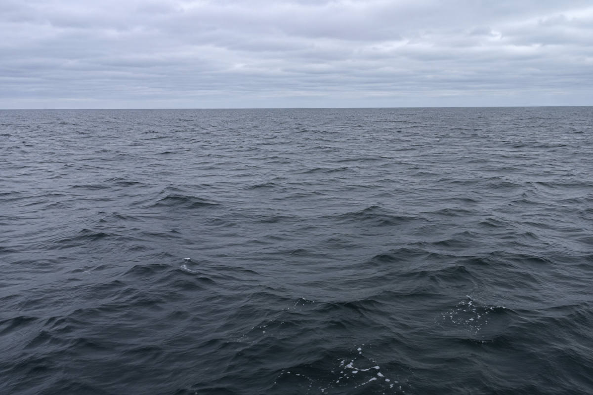 Verzekeraar wijst waterschadeclaim bewoners Doggerland definitief af